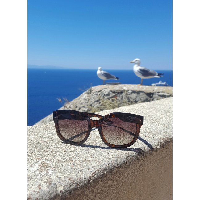 IMG_20170611_124442_330